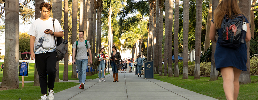 Students walking down central campus.